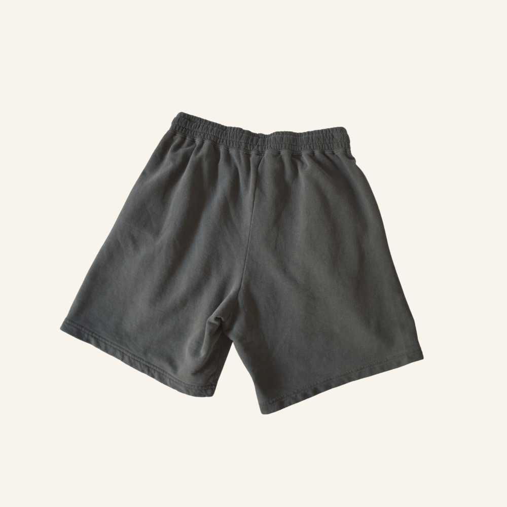 The Tail Chaser Shorts