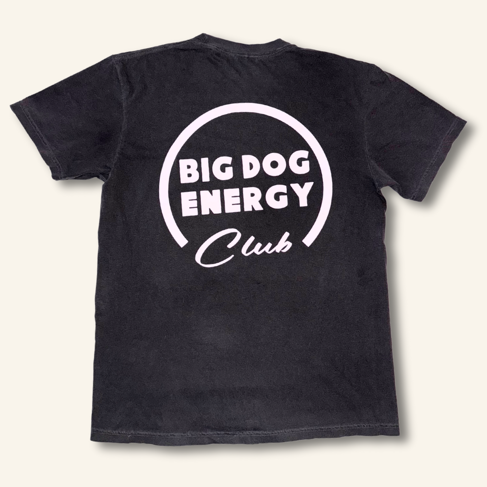 The Tail Chaser Shirt