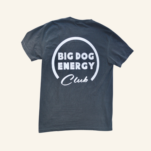 The Tail Chaser Shirt