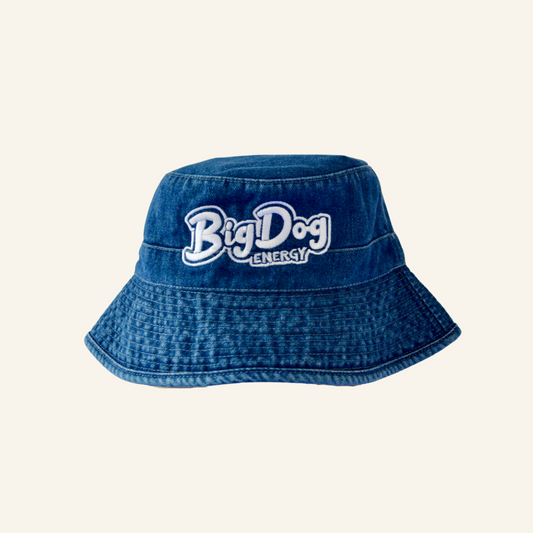 The BDE Bucket - Demin